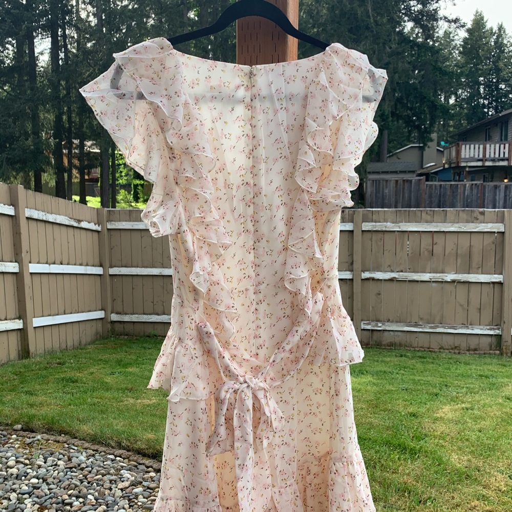 🆕 Wayf Terni Ruffle Mini Dress - Picture 7 of 8